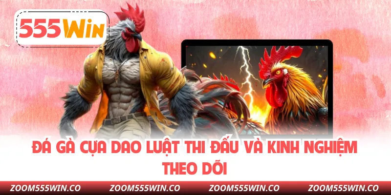Đá Gà Cựa Dao Luật Thi Đấu Và Kinh Nghiệm Theo Dõi