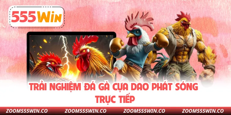 Trải Nghiệm Đá Gà Cựa Dao Phát Sóng Trực Tiếp